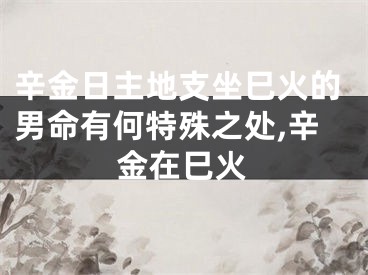辛金日主地支坐巳火的男命有何特殊之处,辛金在巳火