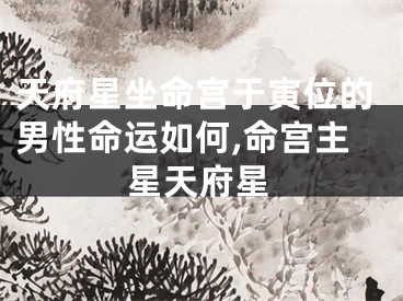 天府星坐命宫于寅位的男性命运如何,命宫主星天府星