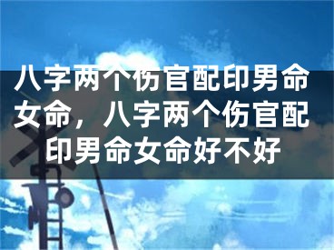 八字两个伤官配印男命女命，八字两个伤官配印男命女命好不好