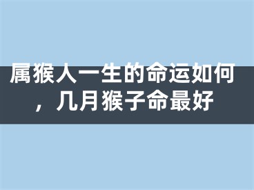 属猴人一生的命运如何，几月猴子命最好