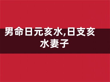 男命日元亥水,日支亥水妻子