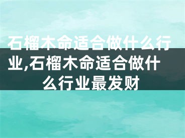石榴木命适合做什么行业,石榴木命适合做什么行业最发财
