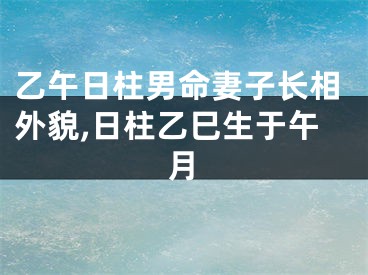 乙午日柱男命妻子长相外貌,日柱乙巳生于午月