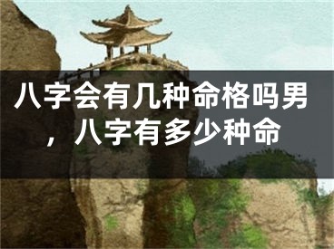 八字会有几种命格吗男,八字有多少种命