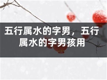 五行属水的字男，五行属水的字男孩用