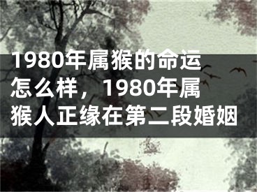 1980年属猴的命运怎么样，1980年属猴人正缘在第二段婚姻