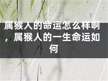 属猴人的命运怎么样啊，属猴人的一生命运如何