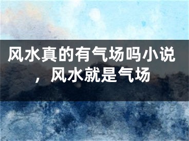 风水真的有气场吗小说，风水就是气场