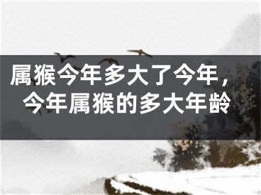 属猴今年多大了今年，今年属猴的多大年龄