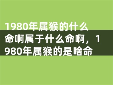 1980年属猴的什么命啊属于什么命啊，1980年属猴的是啥命