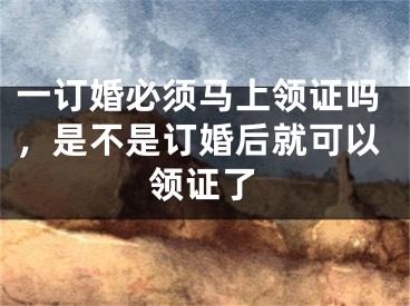 一订婚必须马上领证吗，是不是订婚后就可以领证了