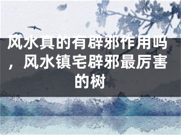 风水真的有辟邪作用吗，风水镇宅辟邪最厉害的树