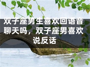 双子座男生喜欢回语音聊天吗，双子座男喜欢说反话