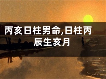 丙亥日柱男命,日柱丙辰生亥月