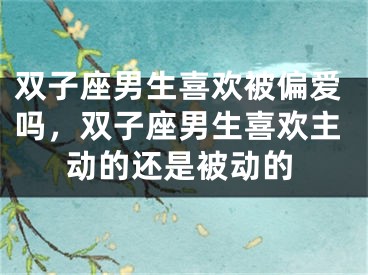 双子座男生喜欢被偏爱吗，双子座男生喜欢主动的还是被动的