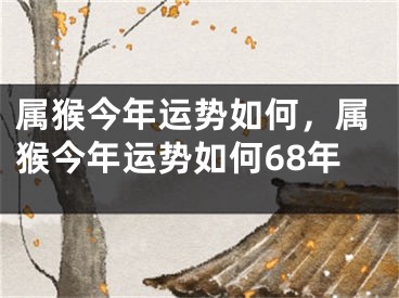 属猴今年运势如何，属猴今年运势如何68年
