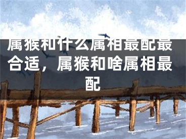 属猴和什么属相最配最合适，属猴和啥属相最配