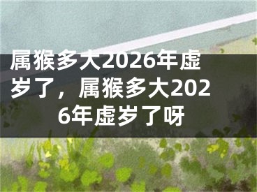 属猴多大2026年虚岁了，属猴多大2026年虚岁了呀