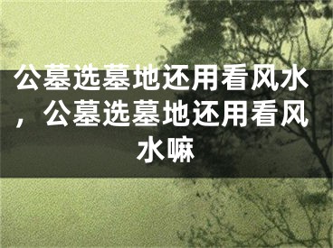 公墓选墓地还用看风水，公墓选墓地还用看风水嘛