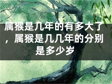 属猴是几年的有多大了，属猴是几几年的分别是多少岁