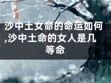 沙中土女命的命运如何,沙中土命的女人是几等命