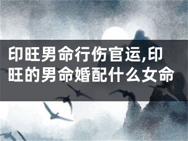 印旺男命行伤官运,印旺的男命婚配什么女命