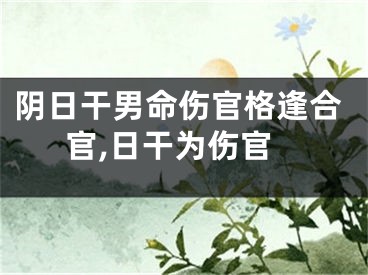 阴日干男命伤官格逢合官,日干为伤官