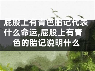 屁股上有青色胎记代表什么命运,屁股上有青色的胎记说明什么