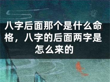 八字后面那个是什么命格，八字的后面两字是怎么来的