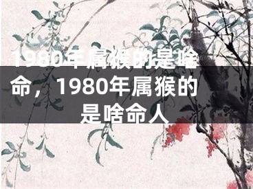 1980年属猴的是啥命，1980年属猴的是啥命人