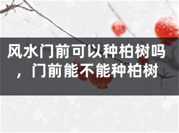风水门前可以种柏树吗，门前能不能种柏树