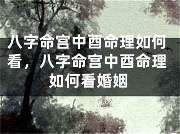 八字命宫中酉命理如何看，八字命宫中酉命理如何看婚姻