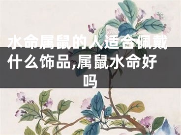 水命属鼠的人适合佩戴什么饰品,属鼠水命好吗