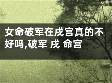 女命破军在戌宫真的不好吗,破军 戌 命宫