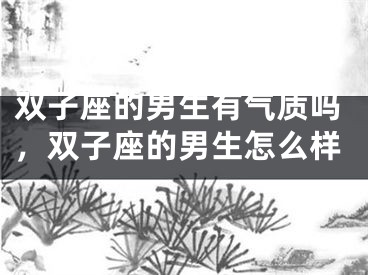 双子座的男生有气质吗，双子座的男生怎么样