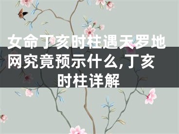 女命丁亥时柱遇天罗地网究竟预示什么,丁亥时柱详解