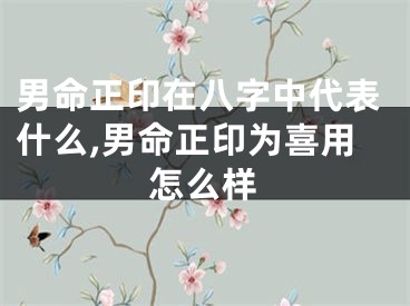 男命正印在八字中代表什么,男命正印为喜用怎么样