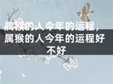 属猴的人今年的运程，属猴的人今年的运程好不好