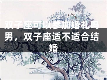 双子座可以参加婚礼吗男,双子座适不适合结婚