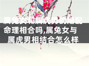 属兔女和属虎男的婚配命理相合吗,属兔女与属虎男相结合怎么样