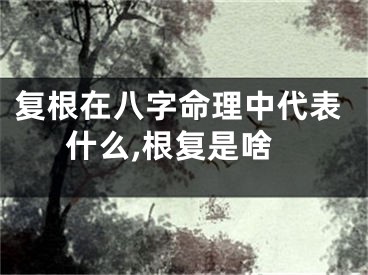 复根在八字命理中代表什么,根复是啥