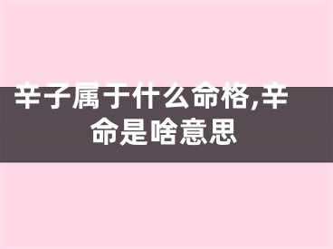辛子属于什么命格,辛命是啥意思