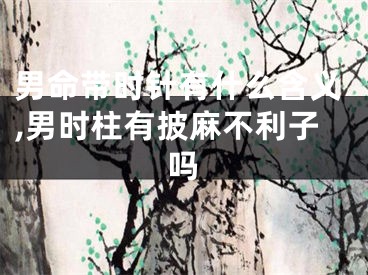 男命带时针有什么含义,男时柱有披麻不利子吗