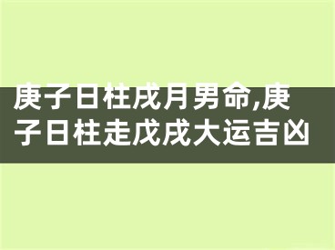 庚子日柱戌月男命,庚子日柱走戊戌大运吉凶
