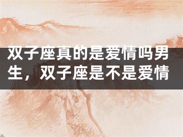 双子座真的是爱情吗男生，双子座是不是爱情