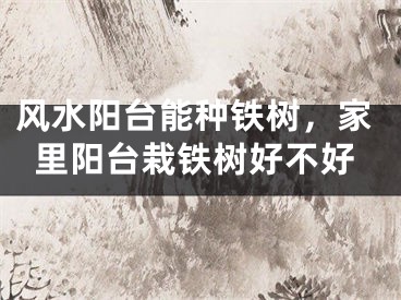风水阳台能种铁树，家里阳台栽铁树好不好