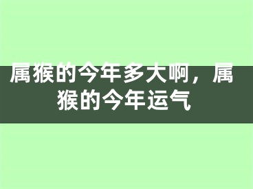 属猴的今年多大啊，属猴的今年运气