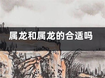 属龙和属龙的合适吗