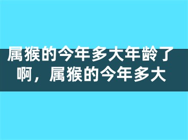 属猴的今年多大年龄了啊，属猴的今年多大
