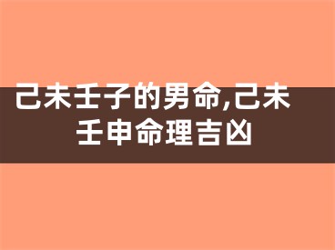 己未壬子的男命,己未壬申命理吉凶